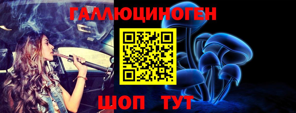 купить наркотики сайты  Вход с VPN  Шатура  Галлюциногенные грибы Cubensis 